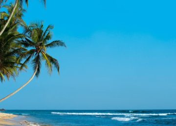 AI companies in Sri Lanka